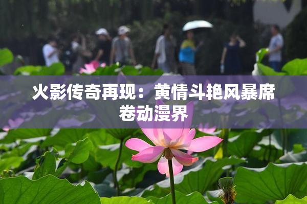 火影传奇再现：黄情斗艳风暴席卷动漫界
