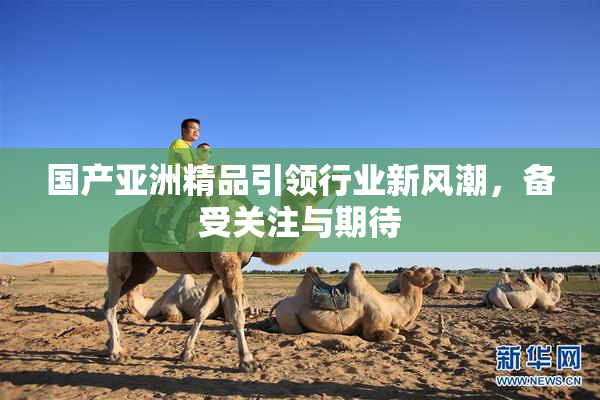 国产亚洲精品引领行业新风潮，备受关注与期待