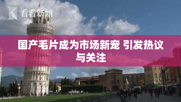 国产毛片成为市场新宠 引发热议与关注