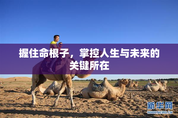 握住命根子，掌控人生与未来的关键所在