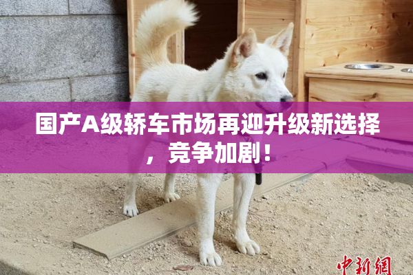国产A级轿车市场再迎升级新选择，竞争加剧！