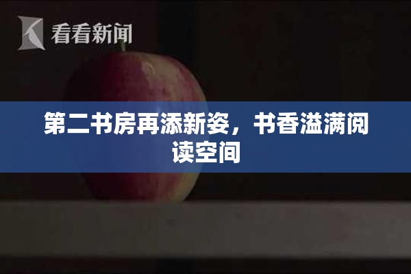第二书房再添新姿，书香溢满阅读空间