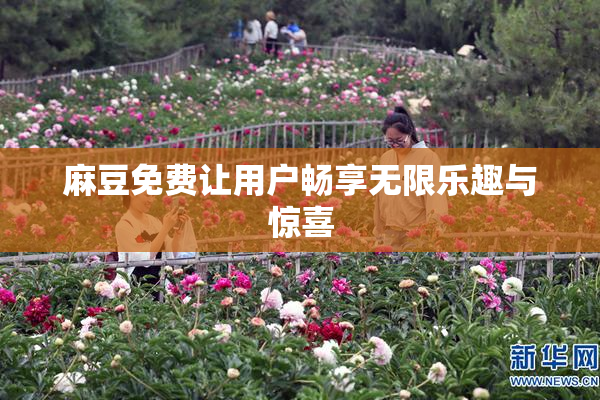 麻豆免费让用户畅享无限乐趣与惊喜