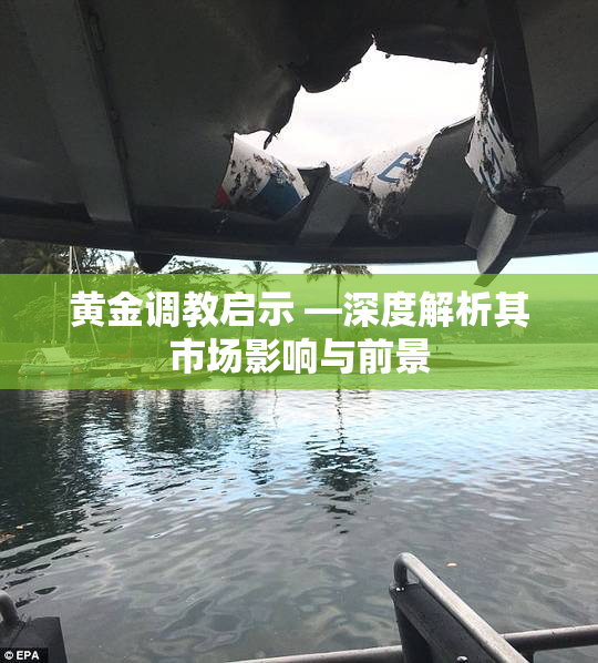 黄金调教启示 —深度解析其市场影响与前景