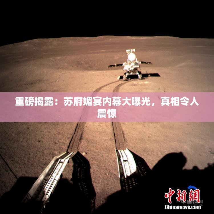 重磅揭露：苏府媚宴内幕大曝光，真相令人震惊