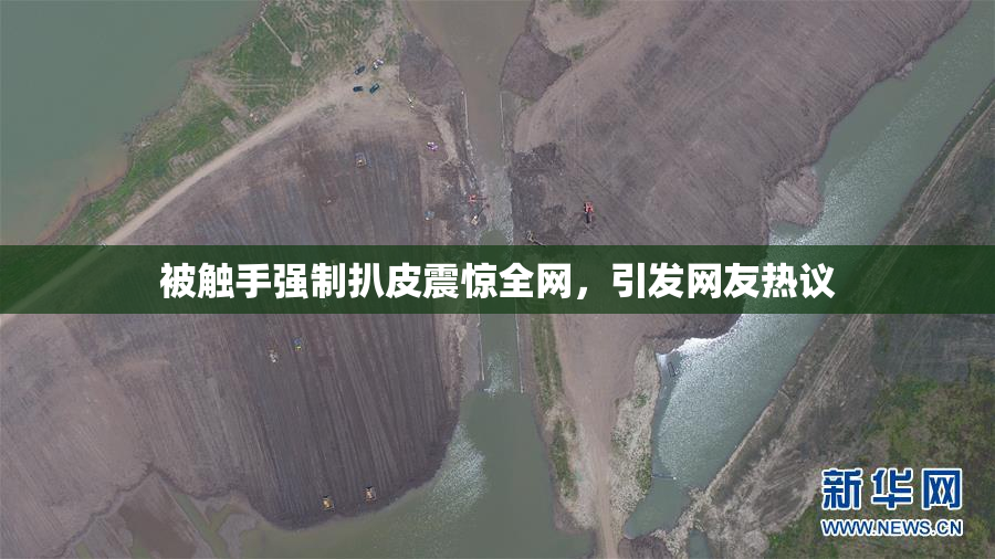 被触手强制扒皮震惊全网，引发网友热议