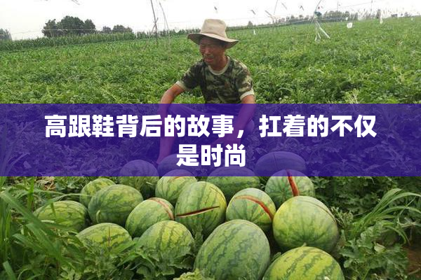 高跟鞋背后的故事，扛着的不仅是时尚