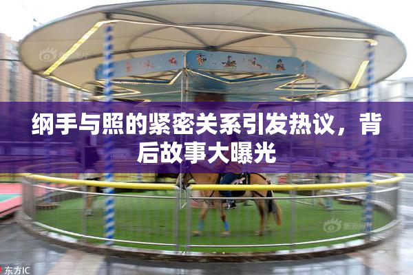 纲手与照的紧密关系引发热议，背后故事大曝光