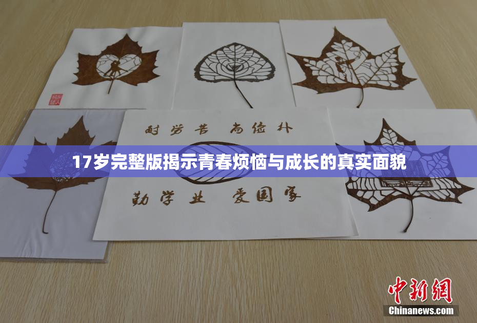 17岁完整版揭示青春烦恼与成长的真实面貌