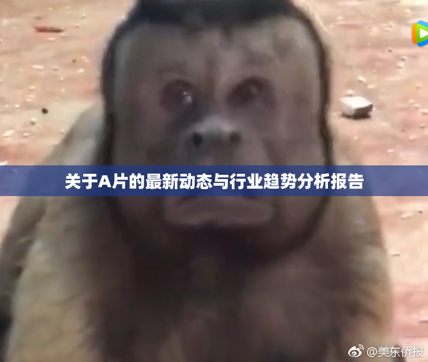 关于A片的最新动态与行业趋势分析报告