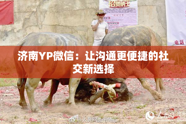 济南YP微信：让沟通更便捷的社交新选择