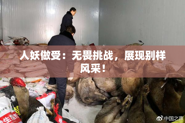 人妖做受：无畏挑战，展现别样风采！