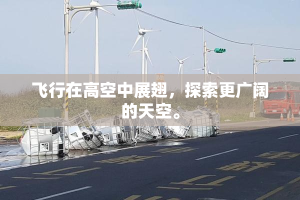 飞行在高空中展翅，探索更广阔的天空。