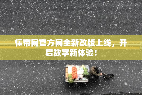 懂帝网官方网全新改版上线，开启数字新体验！