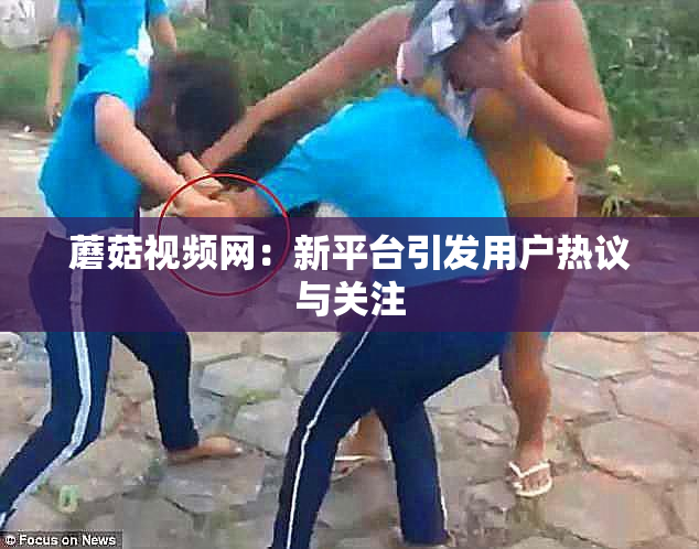 蘑菇视频网：新平台引发用户热议与关注