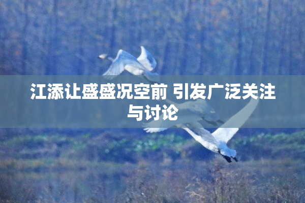 江添让盛盛况空前 引发广泛关注与讨论