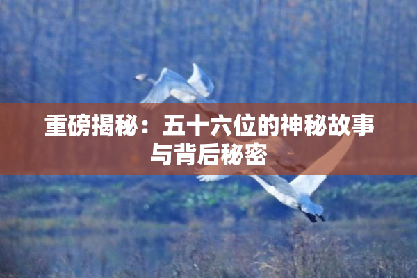 重磅揭秘：五十六位的神秘故事与背后秘密