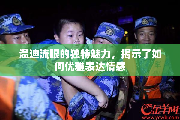温迪流眼的独特魅力，揭示了如何优雅表达情感