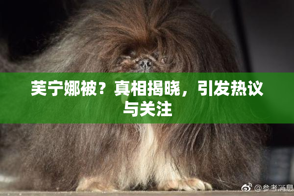 芙宁娜被？真相揭晓，引发热议与关注