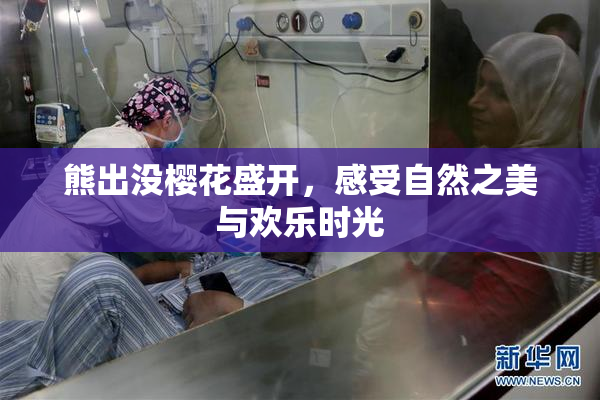 熊出没樱花盛开，感受自然之美与欢乐时光