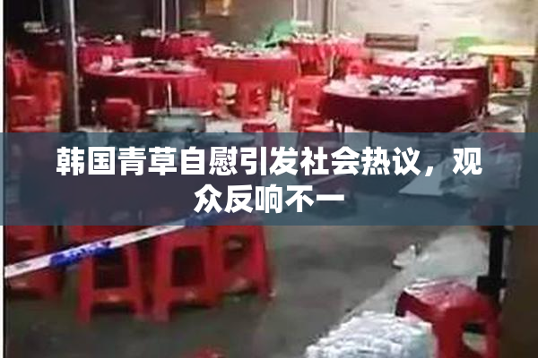 韩国青草自慰引发社会热议，观众反响不一