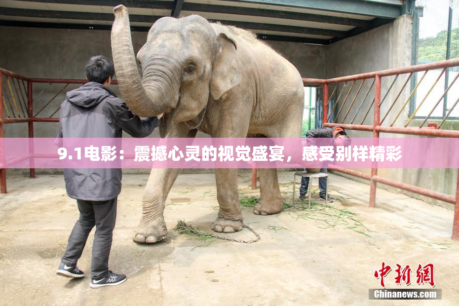 9.1电影：震撼心灵的视觉盛宴，感受别样精彩