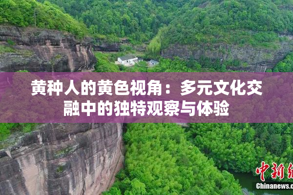 黄种人的黄色视角：多元文化交融中的独特观察与体验