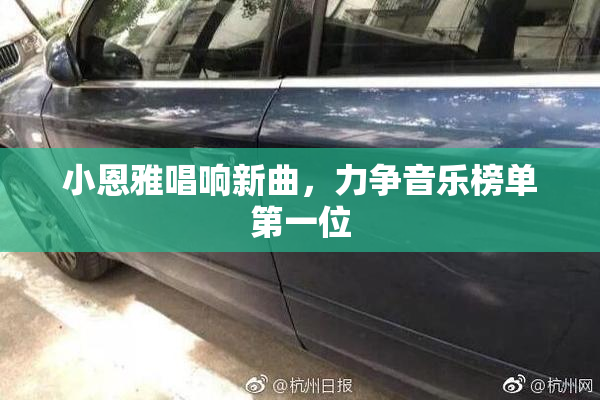 小恩雅唱响新曲，力争音乐榜单第一位
