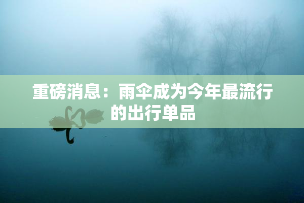 重磅消息：雨伞成为今年最流行的出行单品