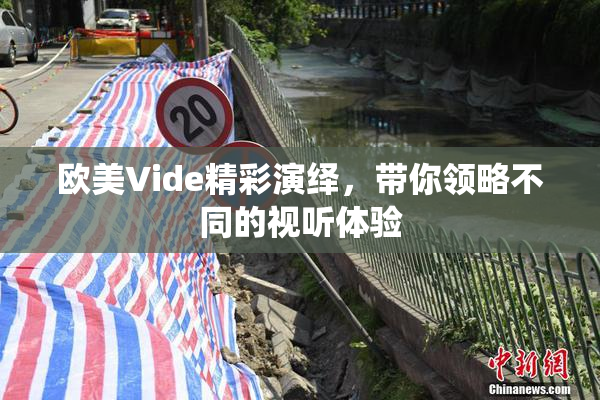 欧美Vide精彩演绎，带你领略不同的视听体验