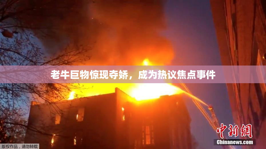 老牛巨物惊现夺娇，成为热议焦点事件