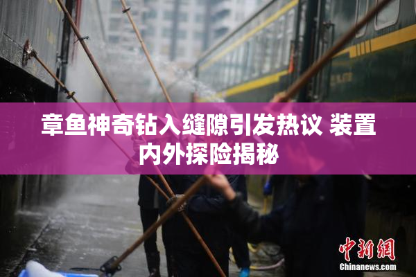 章鱼神奇钻入缝隙引发热议 装置内外探险揭秘