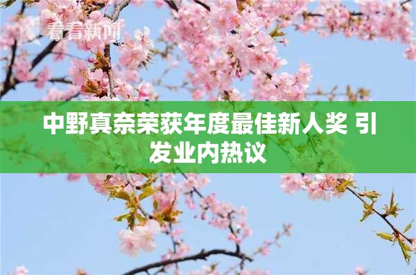 中野真奈荣获年度最佳新人奖 引发业内热议