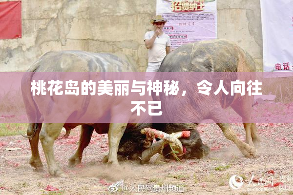桃花岛的美丽与神秘，令人向往不已