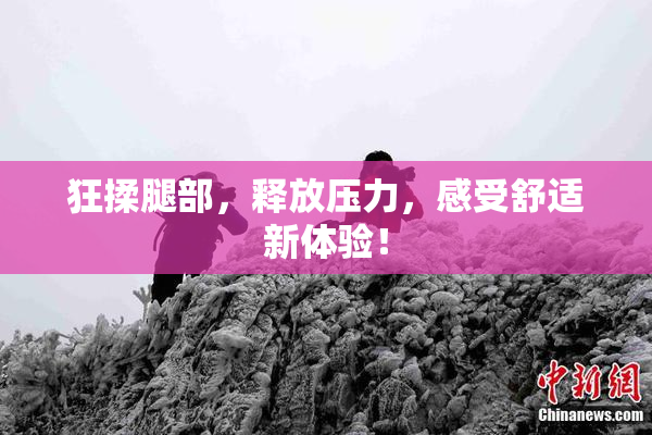 狂揉腿部，释放压力，感受舒适新体验！