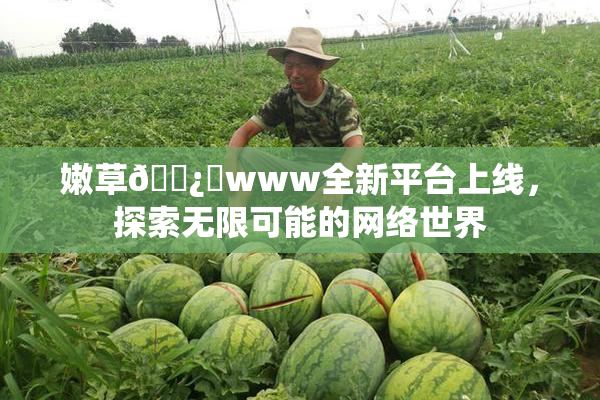 嫩草🌿‌www全新平台上线，探索无限可能的网络世界