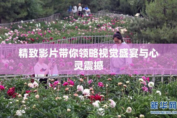 精致影片带你领略视觉盛宴与心灵震撼
