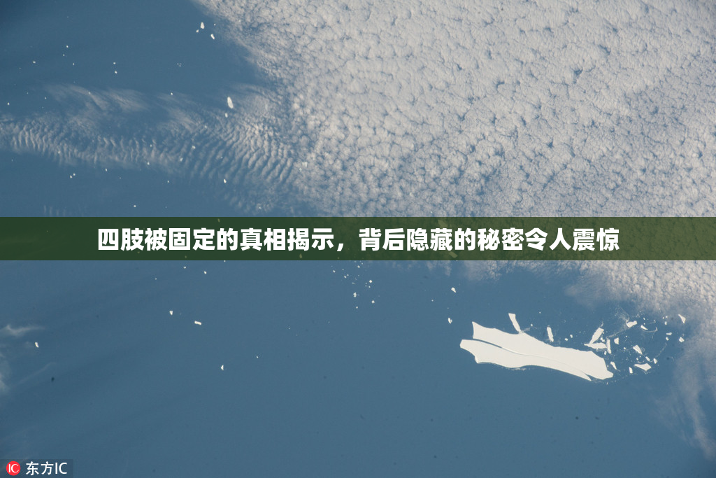 四肢被固定的真相揭示，背后隐藏的秘密令人震惊