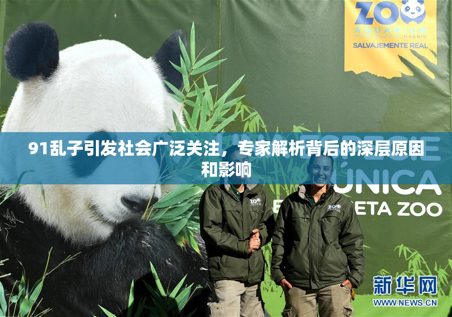 91乱子引发社会广泛关注，专家解析背后的深层原因和影响