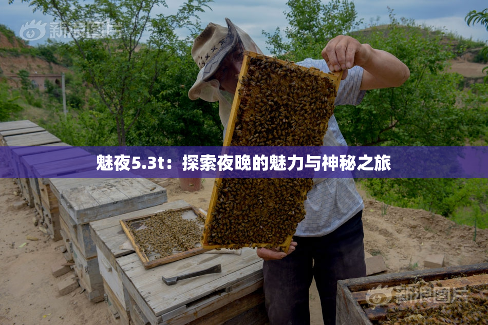魅夜5.3t：探索夜晚的魅力与神秘之旅