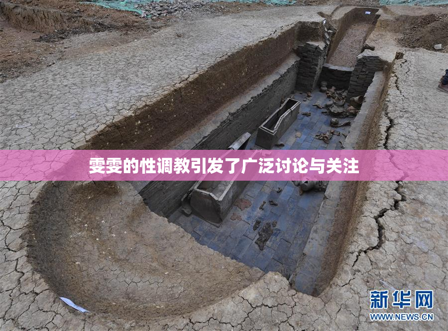 雯雯的性调教引发了广泛讨论与关注