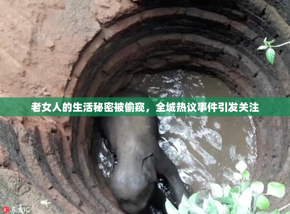 老女人的生活秘密被偷窥，全城热议事件引发关注