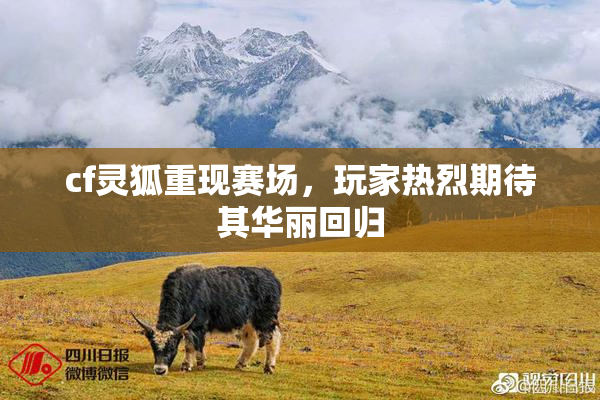 cf灵狐重现赛场，玩家热烈期待其华丽回归