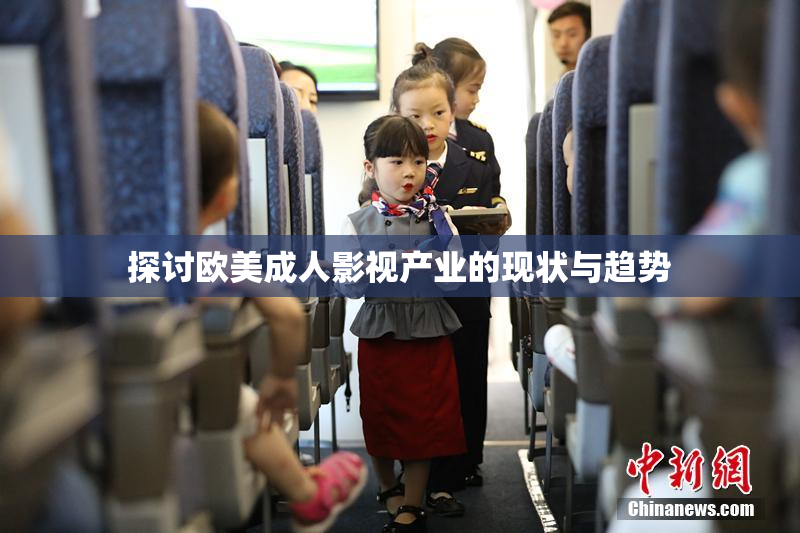 探讨欧美成人影视产业的现状与趋势