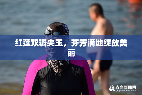 红莲双瓣夹玉，芬芳满地绽放美丽
