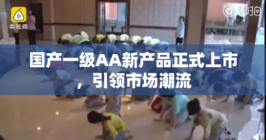 国产一级AA新产品正式上市，引领市场潮流