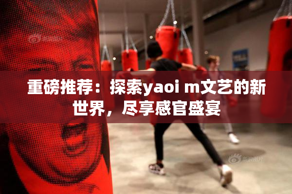 重磅推荐：探索yaoi m文艺的新世界，尽享感官盛宴