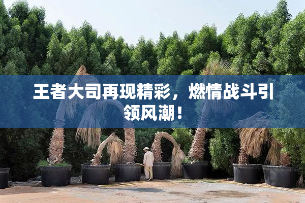 王者大司再现精彩，燃情战斗引领风潮！