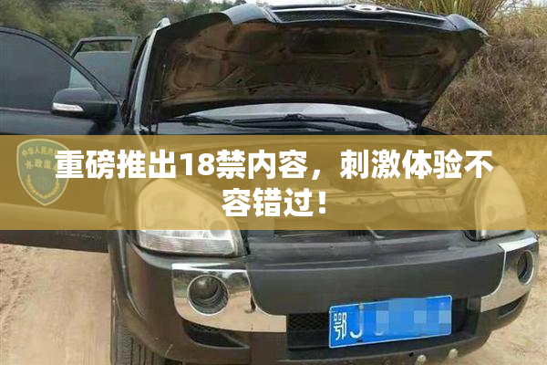 重磅推出18禁内容，刺激体验不容错过！