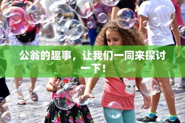公翁的趣事，让我们一同来探讨一下！